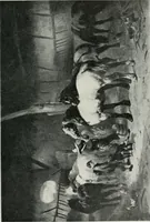 Picture 215 of 254 from Nederlandsche schilderkunst in beeld (1900), leaf 258