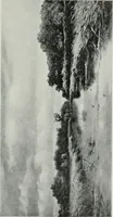 An illustration from Nederlandsche schilderkunst in beeld (1900)