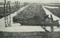 Picture 243 of 254 from Nederlandsche schilderkunst in beeld (1900), leaf 288