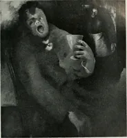 Picture 249 of 254 from Nederlandsche schilderkunst in beeld (1900), leaf 294