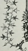 Picture 8 of 254 from Nederlandsche schilderkunst in beeld (1900), leaf 44