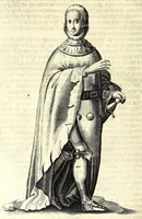 An illustration from Nederlandtsche herault, of, Adelik toneel zijnde een historische beschrijvinge, van allerley trappen van adeldom : alsmede van alderhande wapen-schilden, in koninckrijcken, gemeene-besten, steden en volkeren, van oude tijden af, tot dese eeuw toe in gebruyk geweest zijnde (1672)
