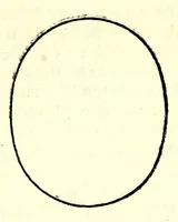 Picture 60 of 71 from Nederlandtsche herault, of, Adelik toneel zijnde een historische beschrijvinge, van allerley trappen van adeldom : alsmede van alderhande wapen-schilden, in koninckrijcken, gemeene-besten, steden en volkeren, van oude tijden af, tot dese eeuw toe in gebruyk geweest zijnde (1672), leaf 311