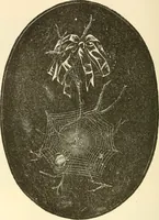 An illustration from Needle and brush: (1889)