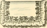 An illustration from Needle and brush: (1889)