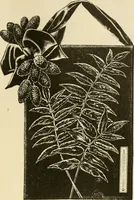 An illustration from Needle and brush: (1889)
