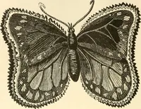 An illustration from Needle and brush: (1889)