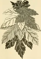 An illustration from Needle and brush: (1889)