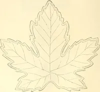 An illustration from Needle and brush: (1889)