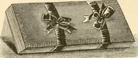 An illustration from Needle and brush: (1889)