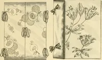 An illustration from Needle and brush: (1889)