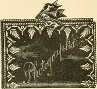 An illustration from Needle and brush: (1889)