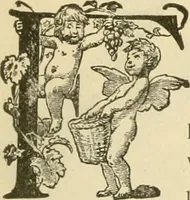 An illustration from Needle and brush: (1889)