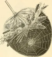 An illustration from Needle and brush: (1889)