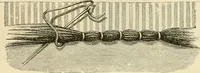 An illustration from Needle and brush: (1889)
