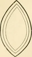 An illustration from Needle and brush: (1889)
