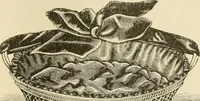 An illustration from Needle and brush: (1889)