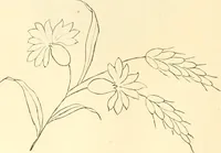 An illustration from Needle and brush: (1889)