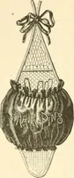 An illustration from Needle and brush: (1889)