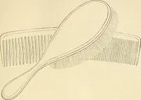 An illustration from Needle and brush: (1889)
