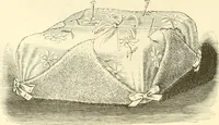 An illustration from Needle and brush: (1889)