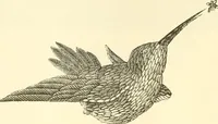 An illustration from Needle and brush: (1889)