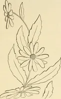 An illustration from Needle and brush: (1889)