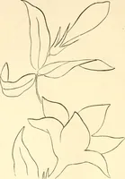 An illustration from Needle and brush: (1889)