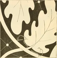 An illustration from Needle and brush: (1889)