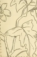 An illustration from Needle and brush: (1889)