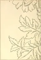 An illustration from Needle and brush: (1889)
