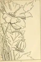 An illustration from Needle and brush: (1889)