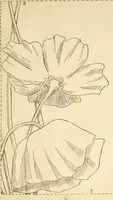 An illustration from Needle and brush: (1889)