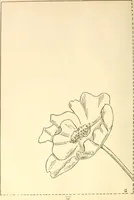 An illustration from Needle and brush: (1889)