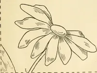 An illustration from Needle and brush: (1889)