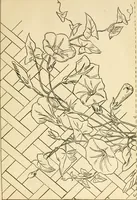 An illustration from Needle and brush: (1889)