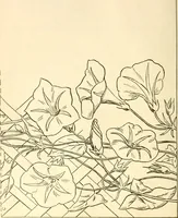 An illustration from Needle and brush: (1889)