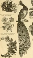 An illustration from Needle and brush: (1889)
