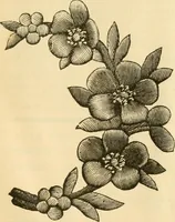 An illustration from Needle and brush: (1889)