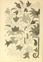 An illustration from Needle and brush: (1889)