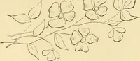 An illustration from Needle and brush: (1889)