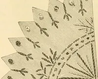 An illustration from Needle and brush: (1889)