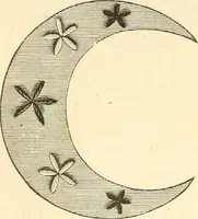 An illustration from Needle and brush: (1889)