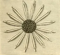 An illustration from Needle and brush: (1889)