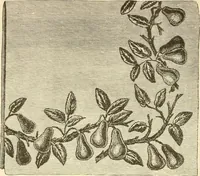 An illustration from Needle and brush: (1889)