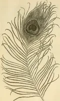 An illustration from Needle and brush: (1889)
