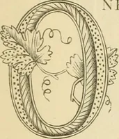 An illustration from Needle and brush: (1889)