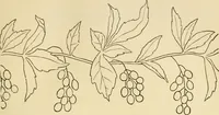 An illustration from Needle and brush: (1889)