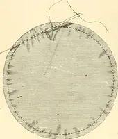 An illustration from Needle and brush: (1889)
