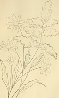 An illustration from Needle and brush: (1889)